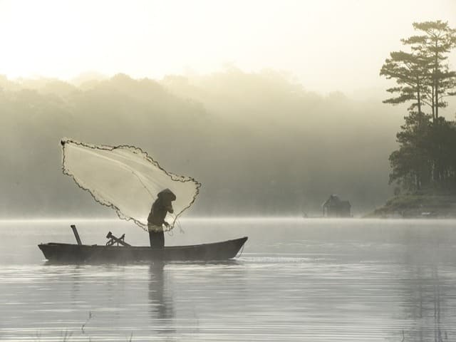 No momento, você está visualizando Essência e Consciência