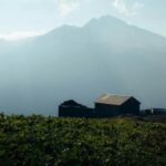 Leia mais sobre o artigo Montanha e Planície