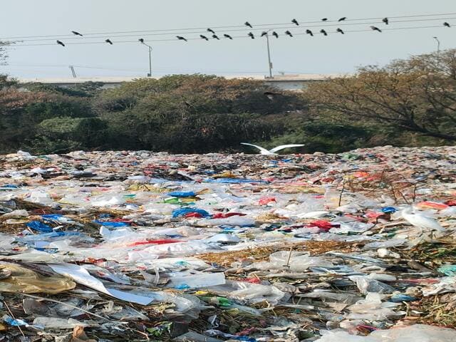 No momento, você está visualizando Cuidar da Casa Cumum