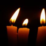Leia mais sobre o artigo A FORÇA REGENERADORA DA VIDA