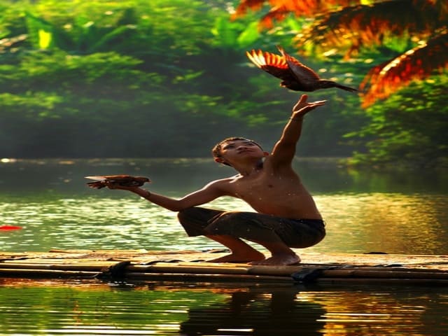 No momento, você está visualizando Ecologia Integral: uma conversa entre amigos