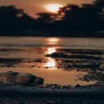 Leia mais sobre o artigo Ecologia integral: uma conversa entre amigos II