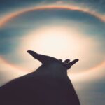 Leia mais sobre o artigo Espelho limpo