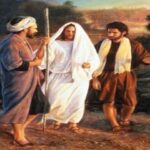 Leia mais sobre o artigo UM CAMINHO DE VOLTA PARA CASA