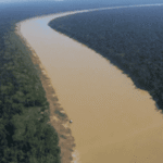 Leia mais sobre o artigo Rio Purus: uma viagem de belezas e desafios